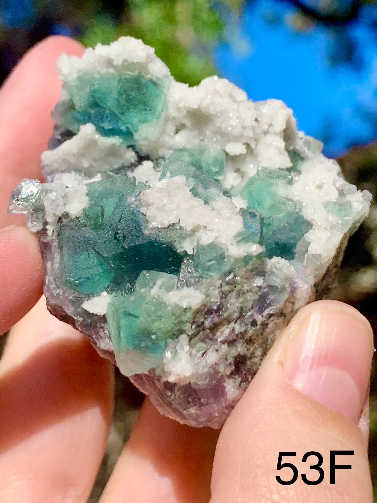 Octahedral Fluorite - 53F