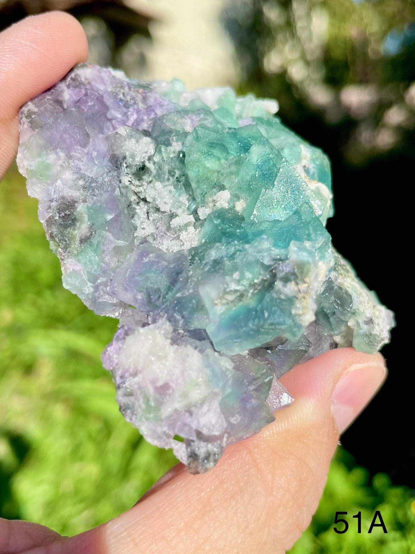 Octahedral Fluorite - 51A