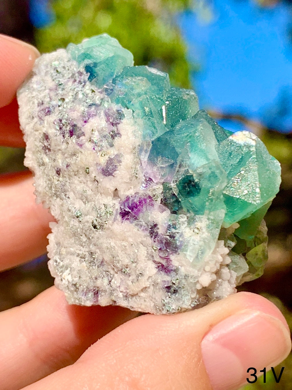 Octahedral Fluorite - 31V