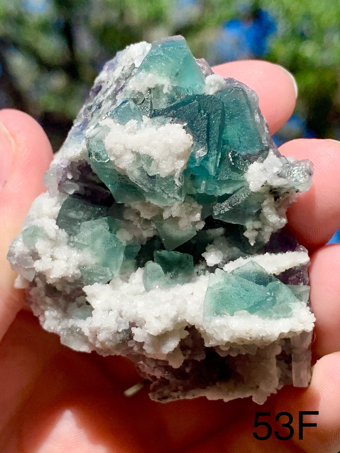 Octahedral Fluorite - 53F