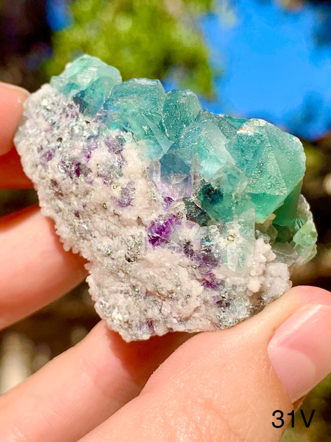 Octahedral Fluorite - 31V