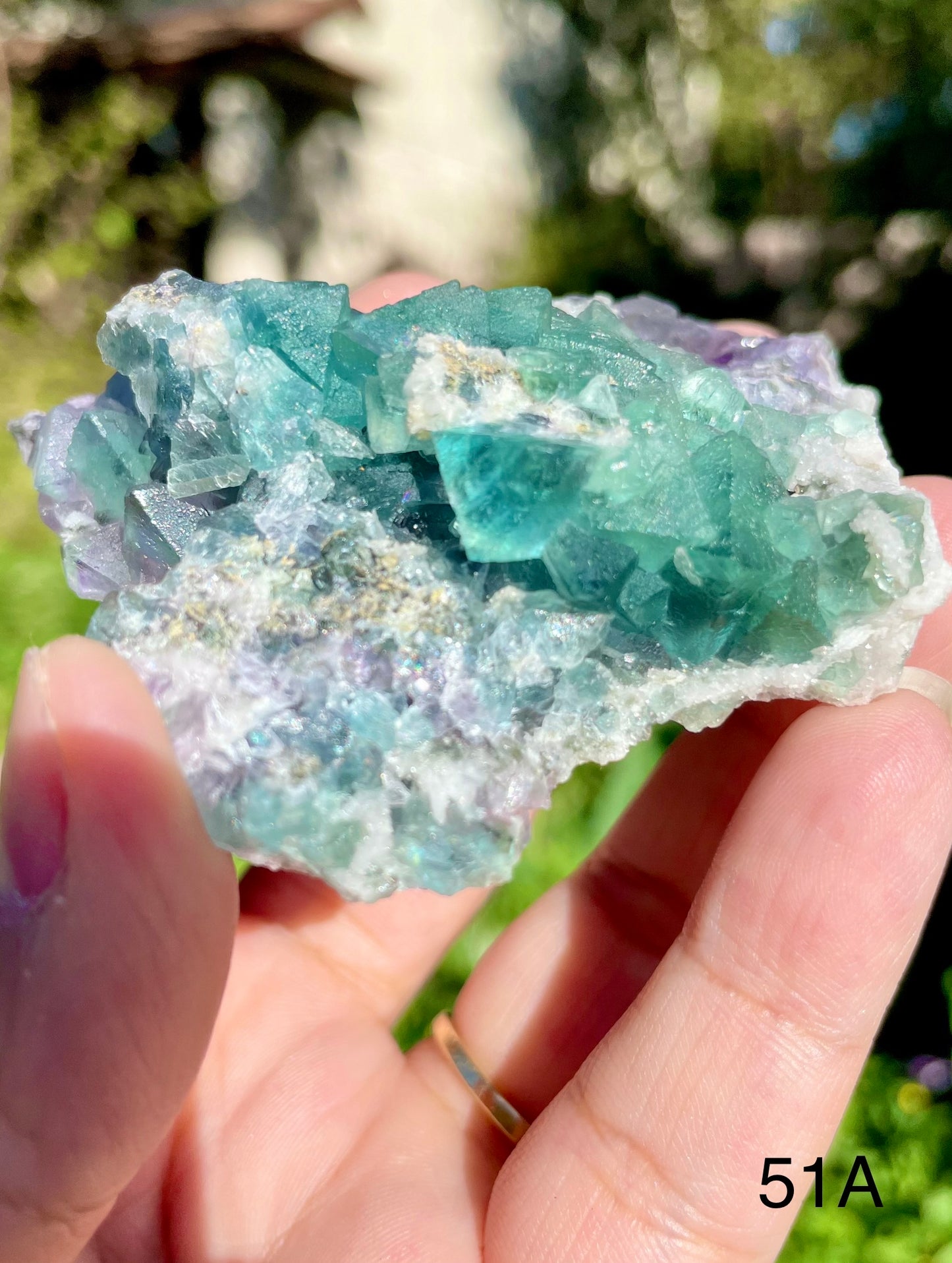 Octahedral Fluorite - 51A