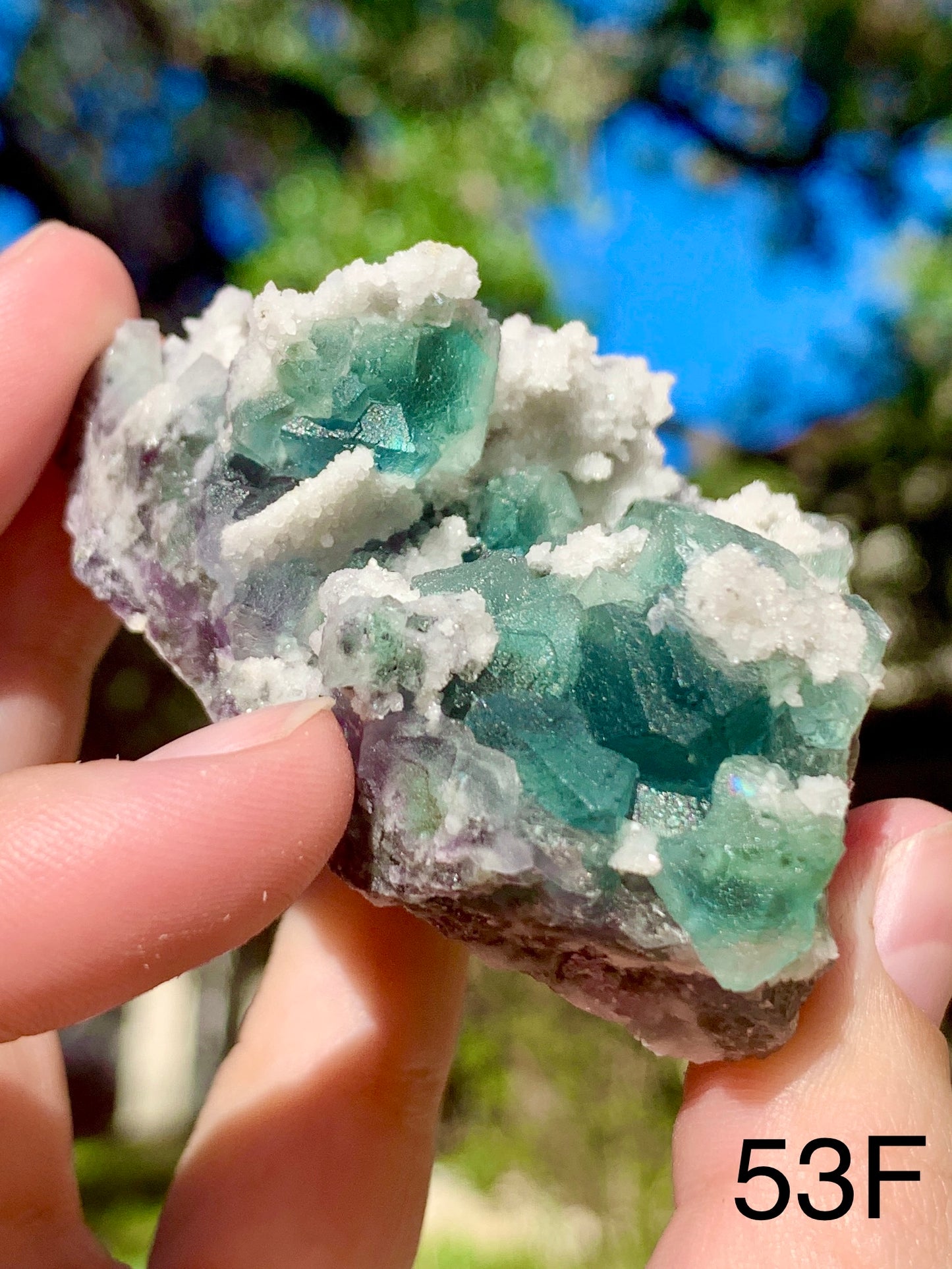 Octahedral Fluorite - 53F