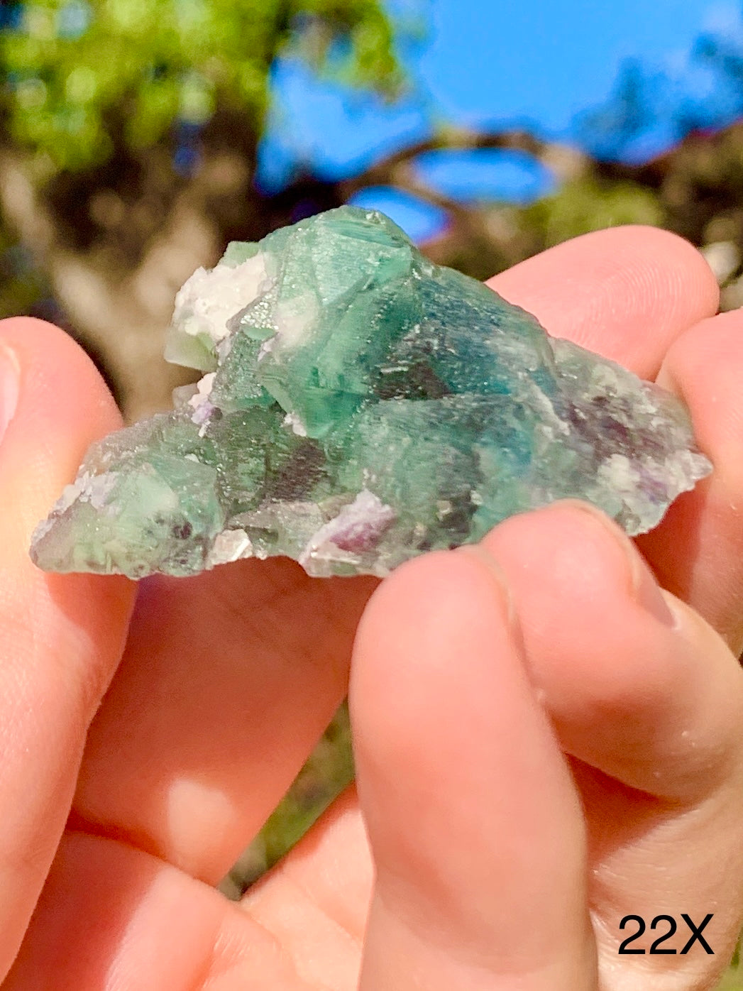 Octahedral Fluorite - 22X