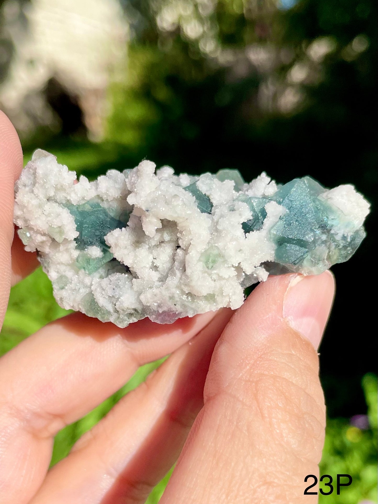 Octahedral Fluorite - 23P