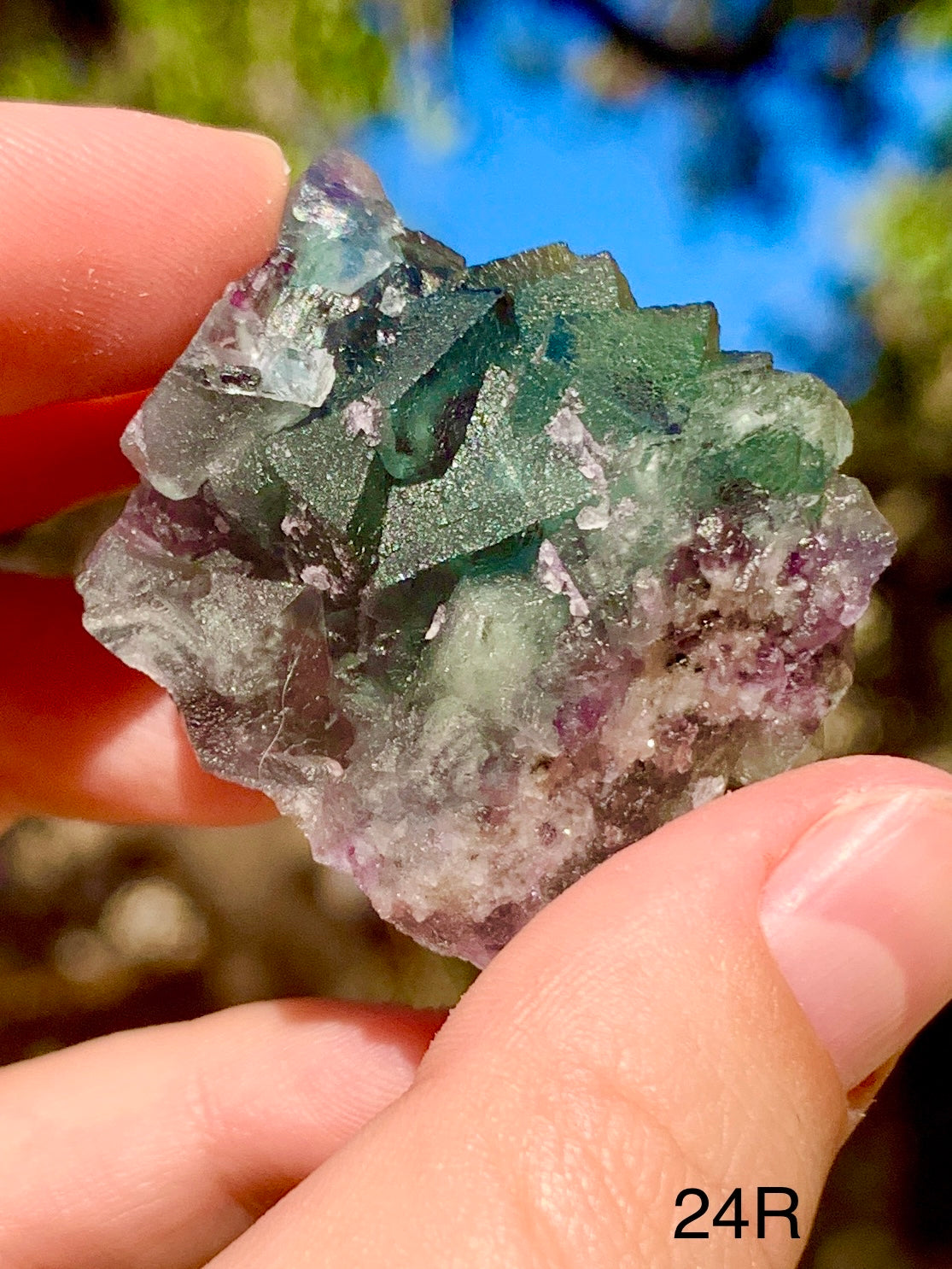 Octahedral Fluorite - 24R