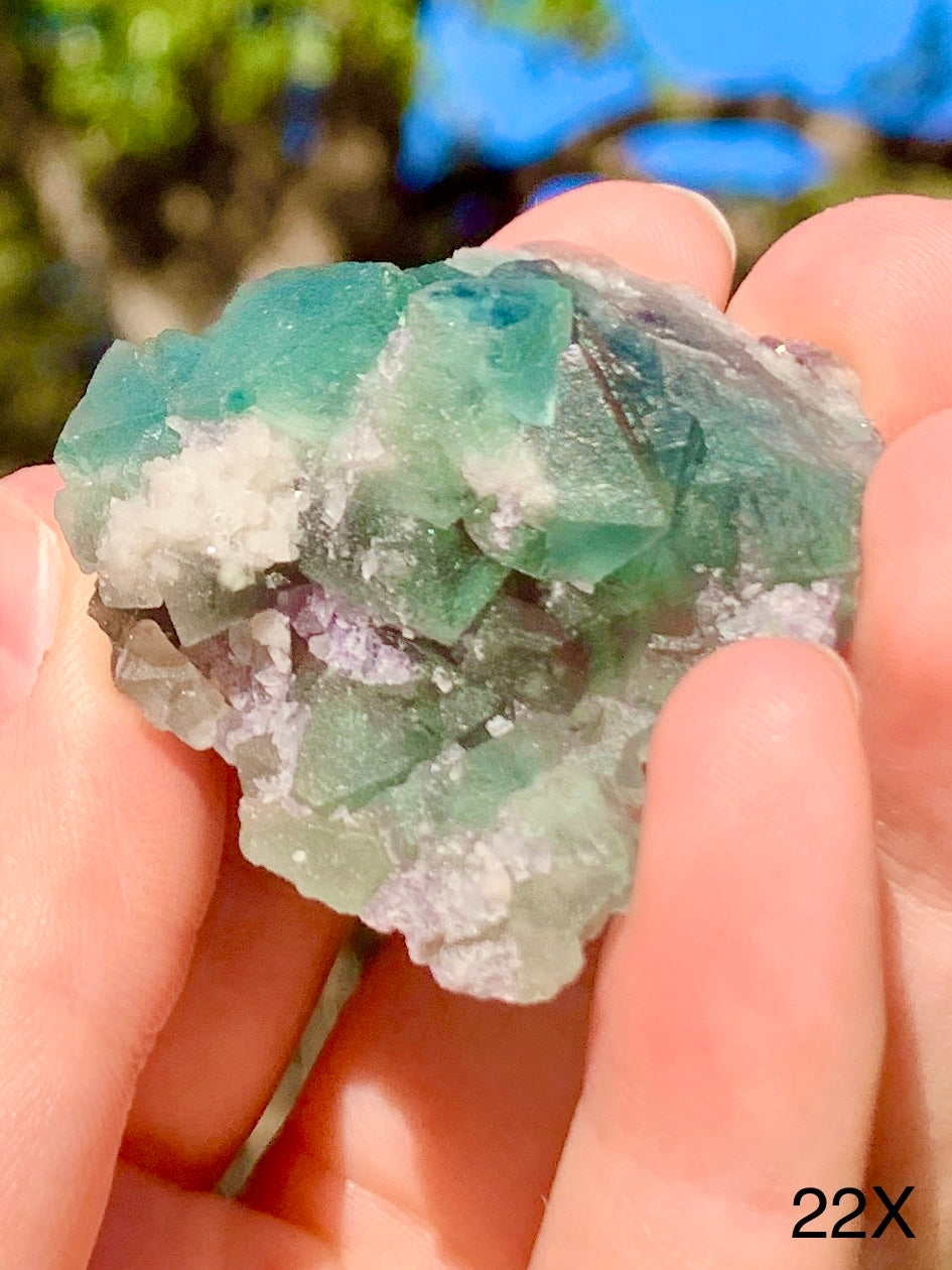 Octahedral Fluorite - 22X