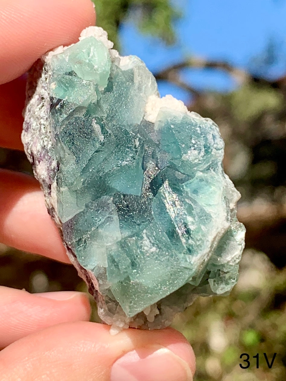 Octahedral Fluorite - 31V