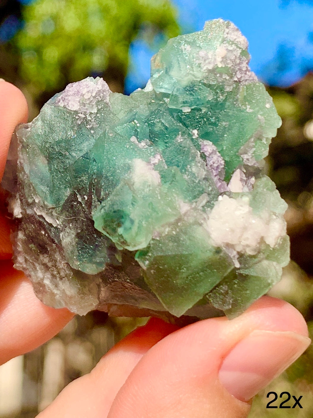 Octahedral Fluorite - 22X